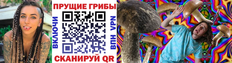 Галлюциногенные грибы ЛСД  Слюдянка 
